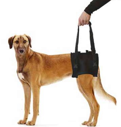 Picture of Dog Rear Support Harness - Lifting Aid with Handle